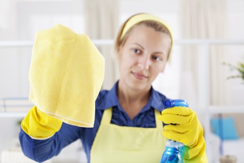 Preparing supplies for effective sofa cleaning at home