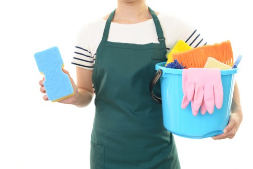 Professional Brixton cleaners providing thorough home cleaning services