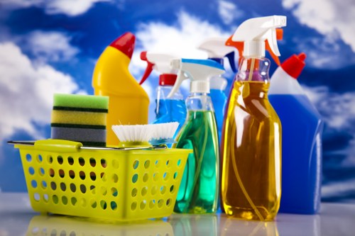 Fresh carpet cleaning results in a bright living room