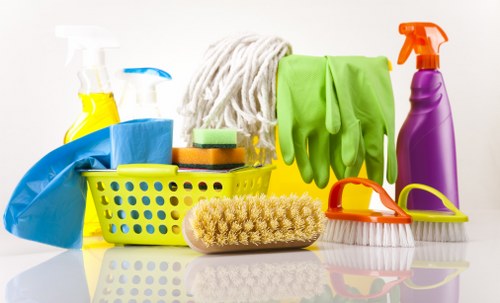 Regular cleaning essentials for a tidy and healthy home