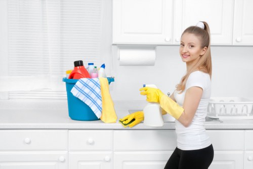 Checklist and cleaning supplies for end of tenancy cleaning