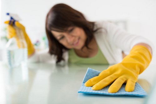 High-traffic carpet area being deep cleaned
