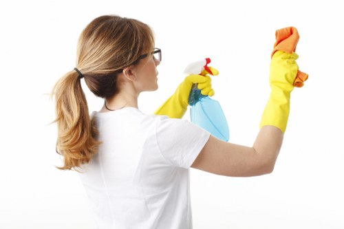 Upholstery cleaning equipment ready for use in Brixton