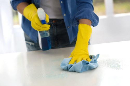 Bathroom deep cleaning with sanitizing products