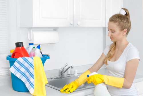 Natural stain removal and deodorizing treatment for upholstery